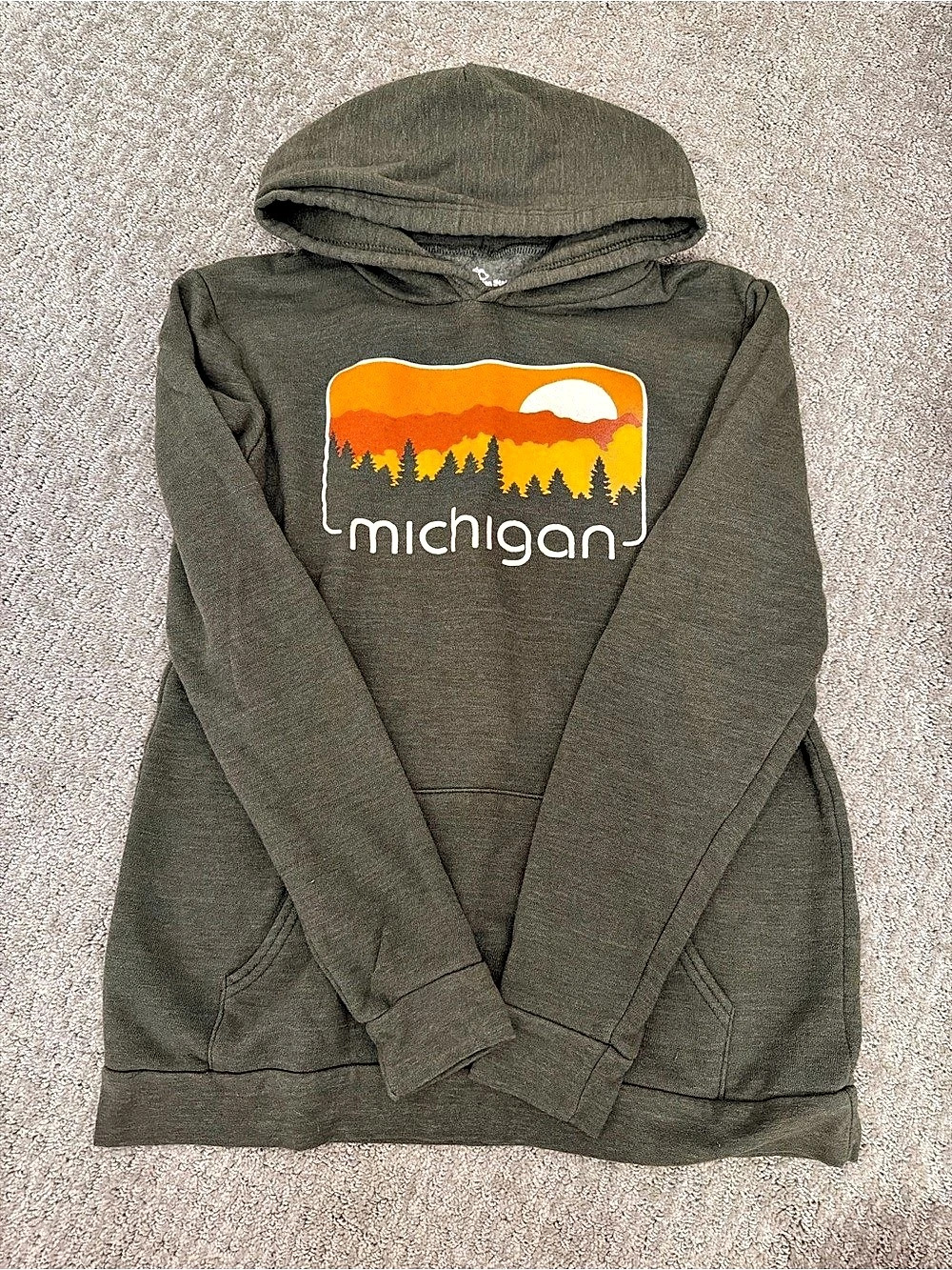 The Mountain Michigan Graphic Hoodie in Green Like New